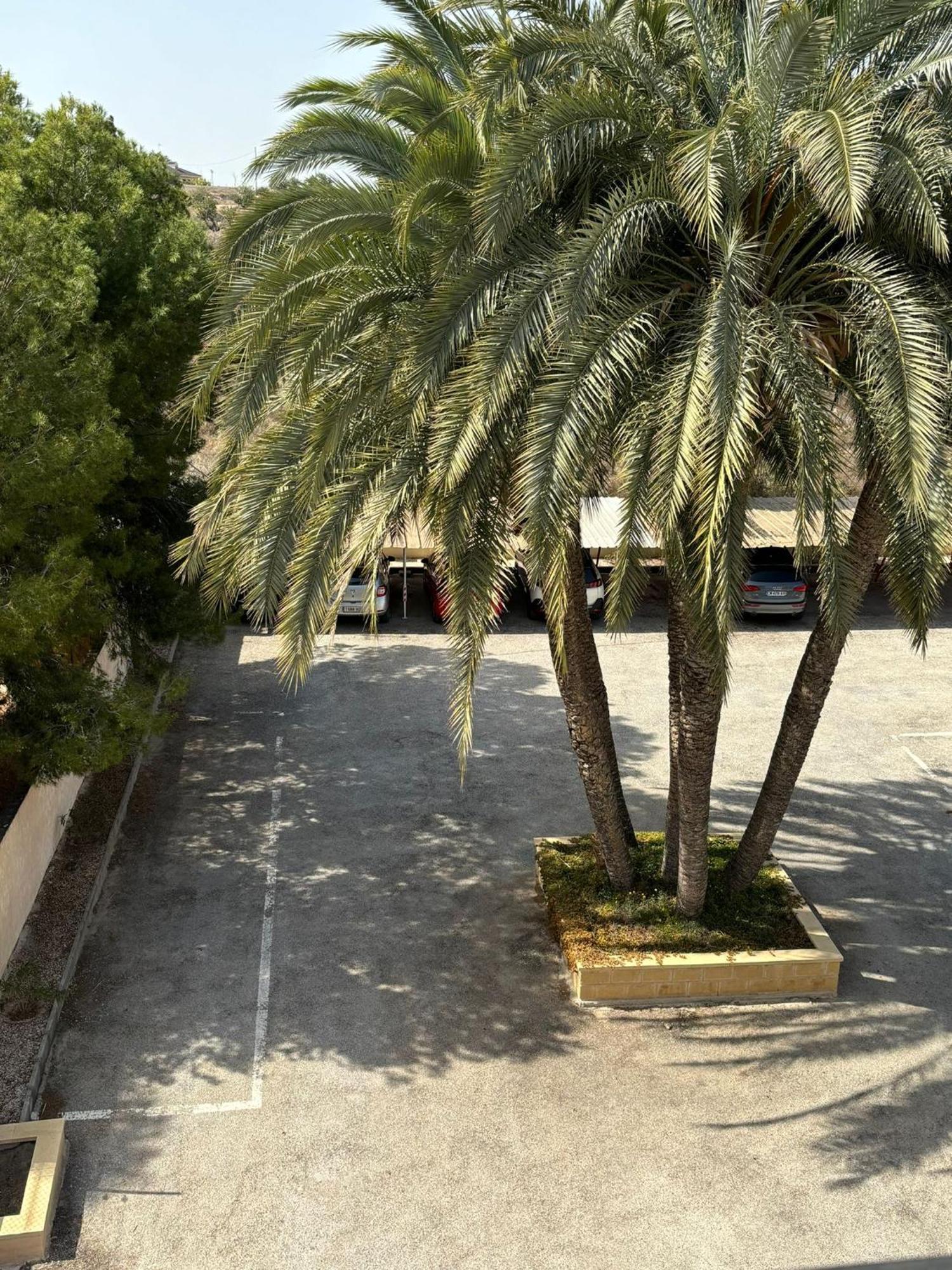 Apartamentos Congo Кампелло Экстерьер фото