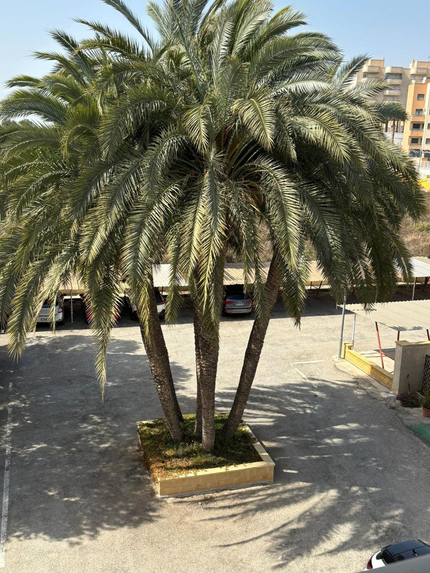 Apartamentos Congo Кампелло Экстерьер фото