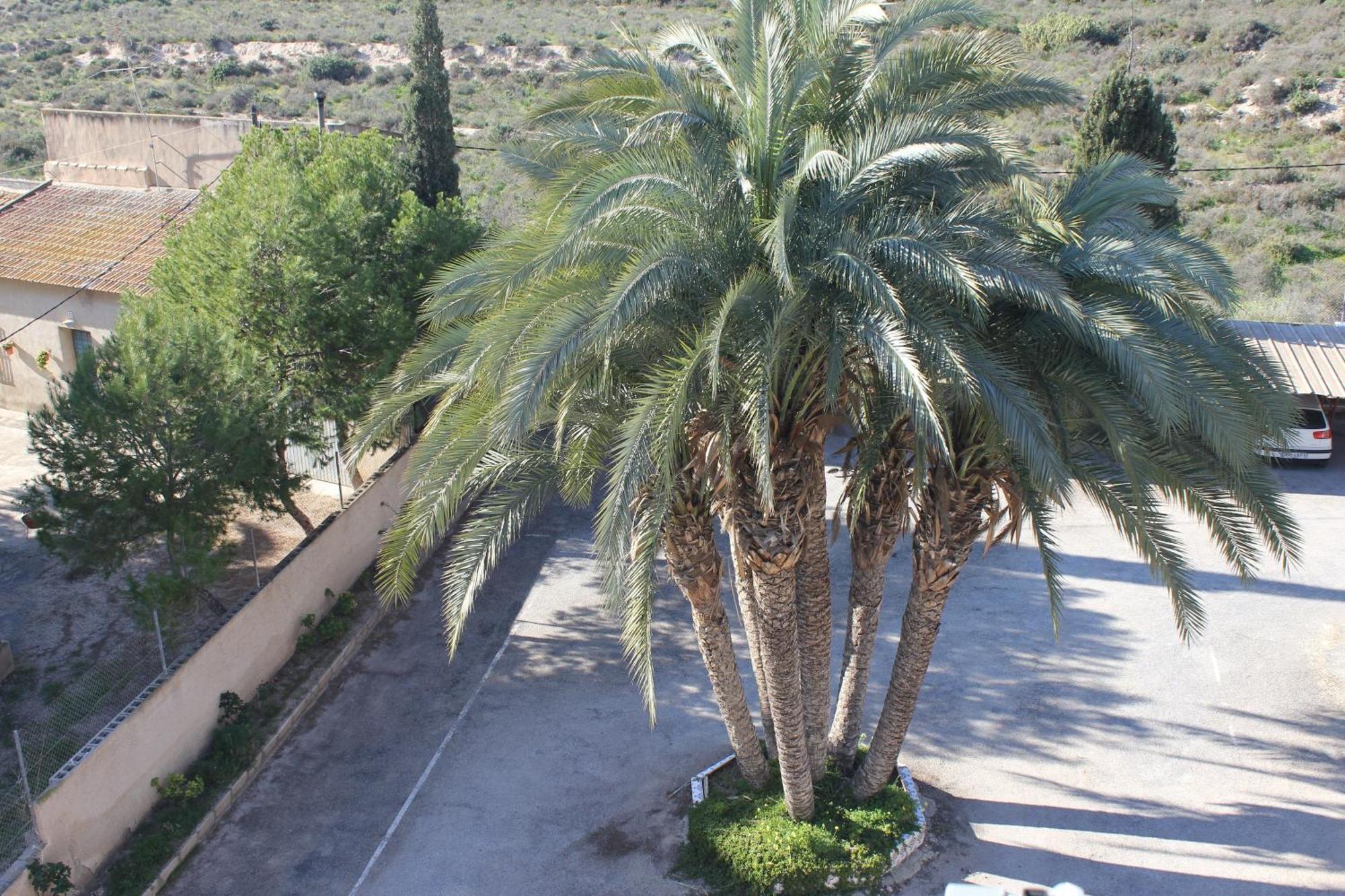 Apartamentos Congo Кампелло Экстерьер фото